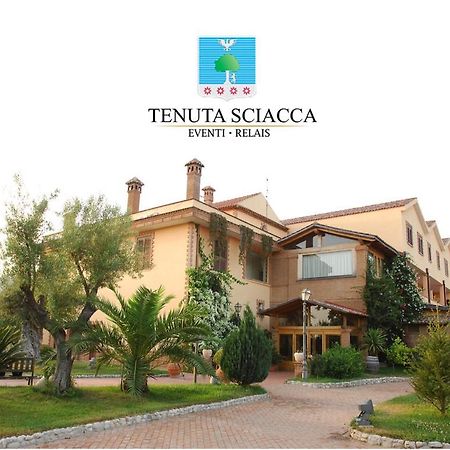 Tenuta Sciacca Vila Falciano del Massico Exterior foto