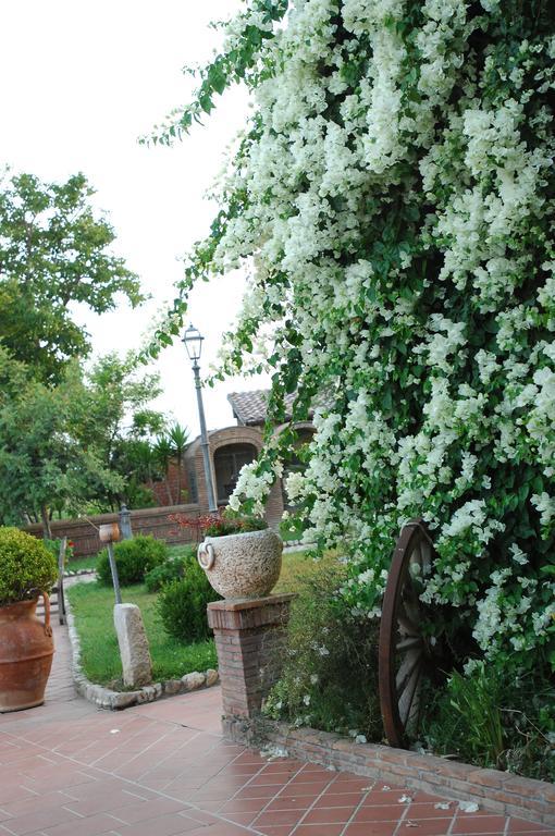 Tenuta Sciacca Vila Falciano del Massico Exterior foto