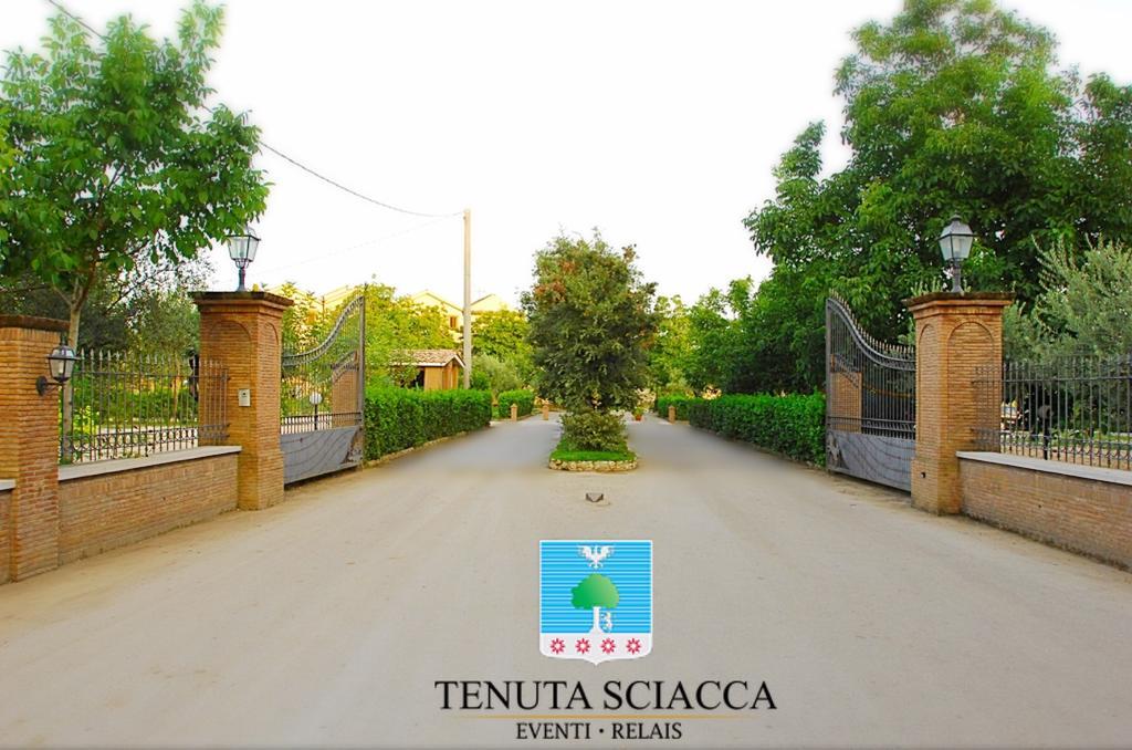Tenuta Sciacca Vila Falciano del Massico Exterior foto