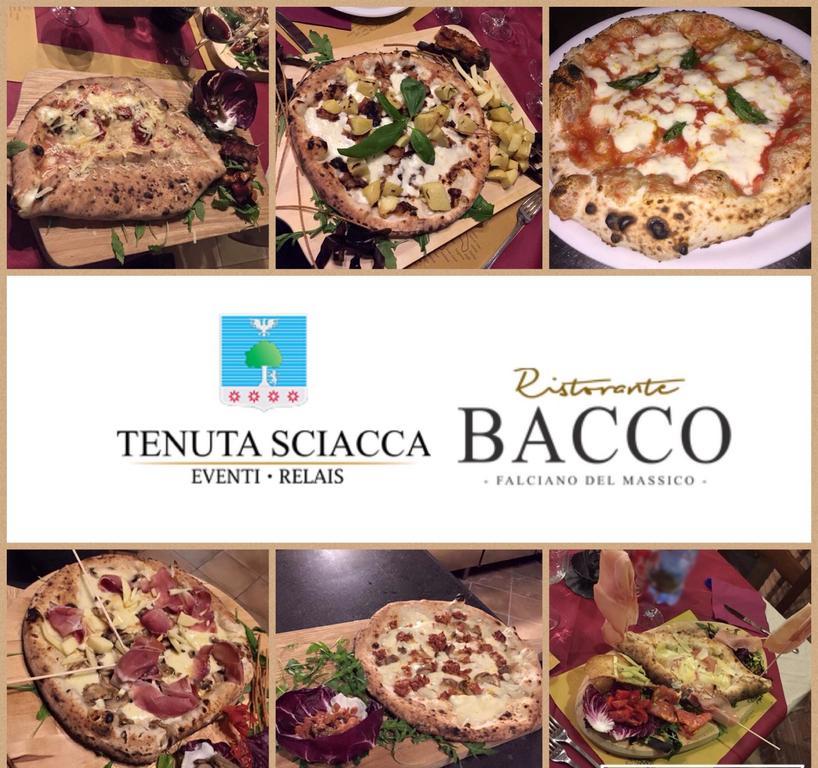 Tenuta Sciacca Vila Falciano del Massico Exterior foto