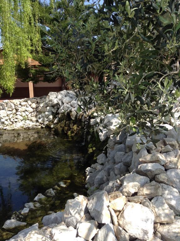 Tenuta Sciacca Vila Falciano del Massico Exterior foto