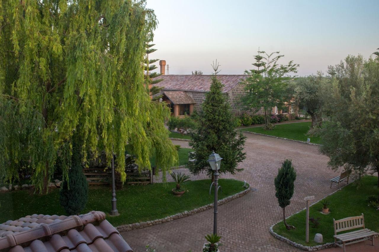 Tenuta Sciacca Vila Falciano del Massico Exterior foto